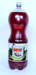 SUC BEST GAMA FRUCTE PADURE 3L